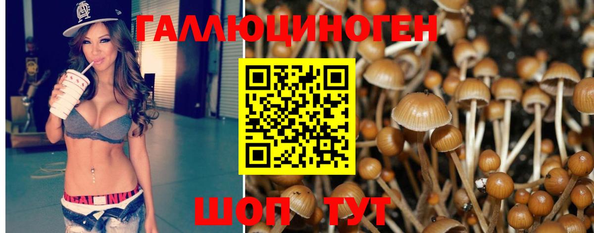 Псилоцибиновые грибы MAGIC MUSHROOMS Минусинск