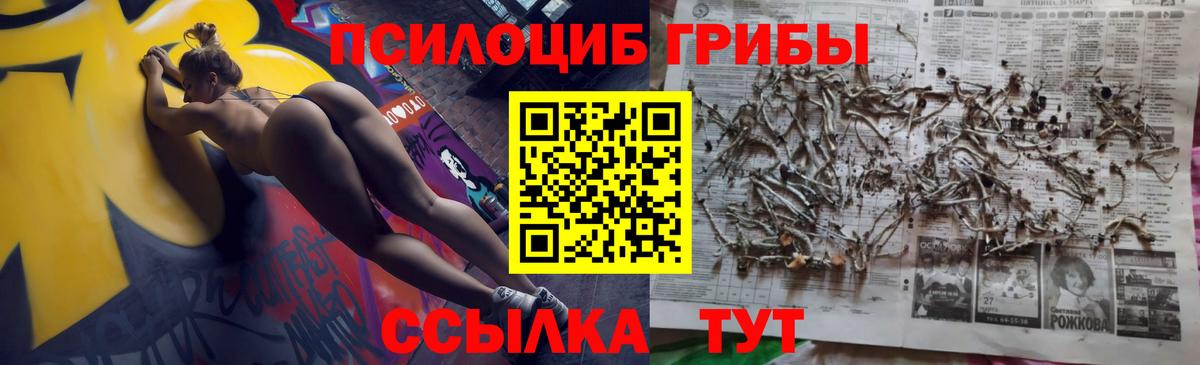Галлюциногенные грибы Psilocybe  Вход с VPN  Минусинск  Галлюциногенные грибы GOLDEN TEACHER 