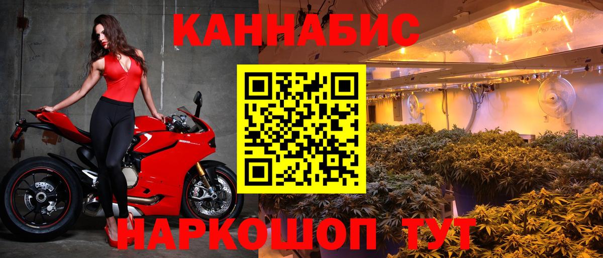 Канабис OG Kush  Шишки марихуана план  Вход с VPN  Минусинск  Бошки Шишки SATIVA & INDICA 